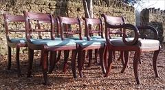 260120189 19th Century Regency Mahogany Dining Chairs Single 31h 18w 20d 17½h carver 31h 20w 21d wrong height _4.JPG